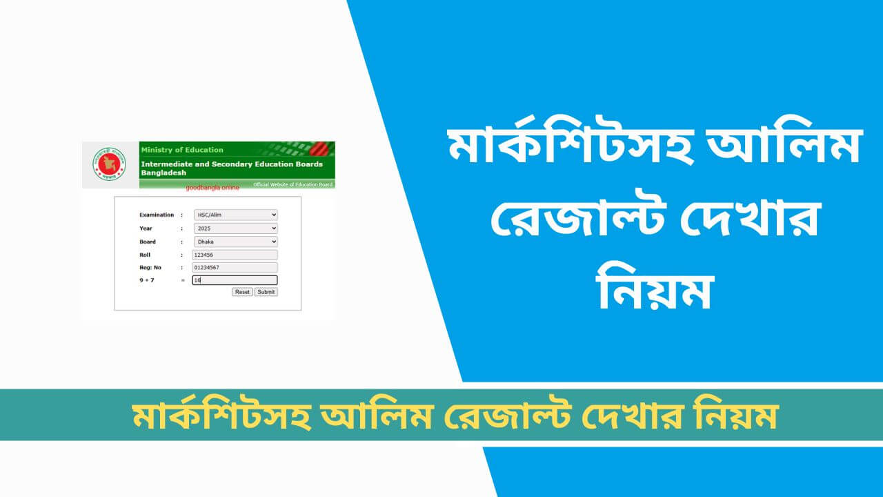 মার্কশিটসহ আলিম রেজাল্ট দেখার নিয়ম
