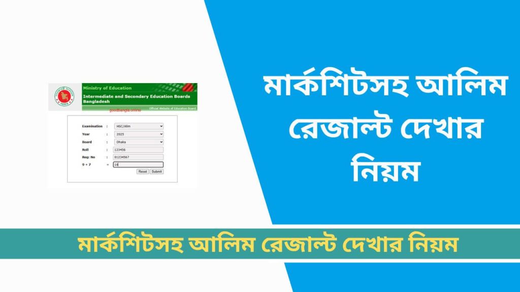 মার্কশিটসহ আলিম রেজাল্ট দেখার নিয়ম